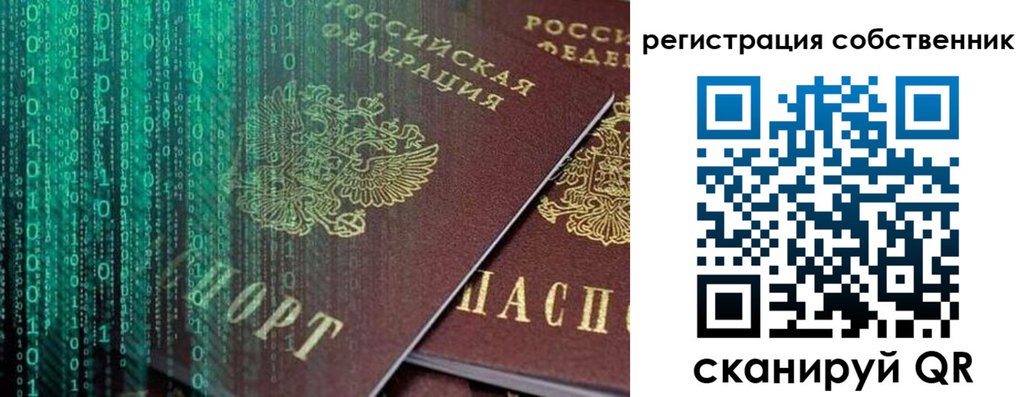 прописка поиск в Ряжске